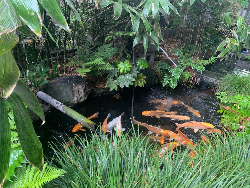 f:id:locomoco123:20210513162953j:image