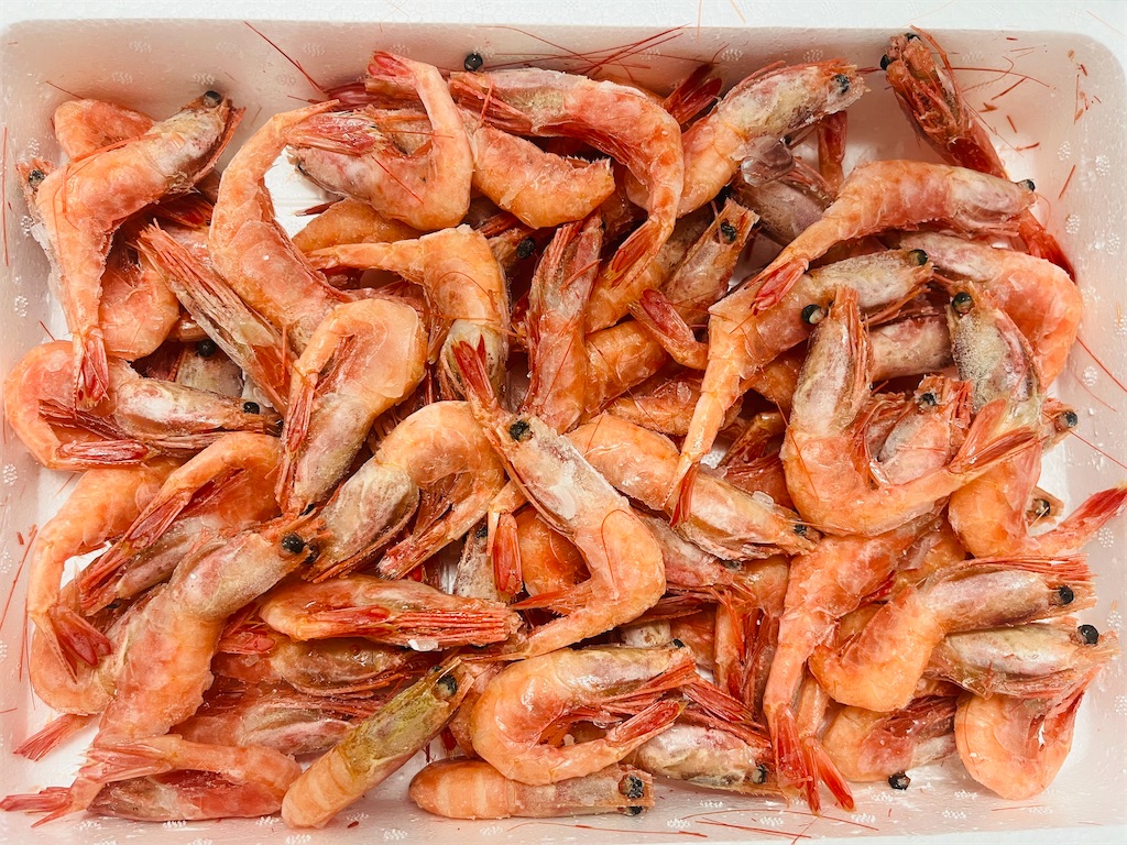 f:id:locomoco123:20230826175534j:image f:id:locomoco123:20230826175534j:image