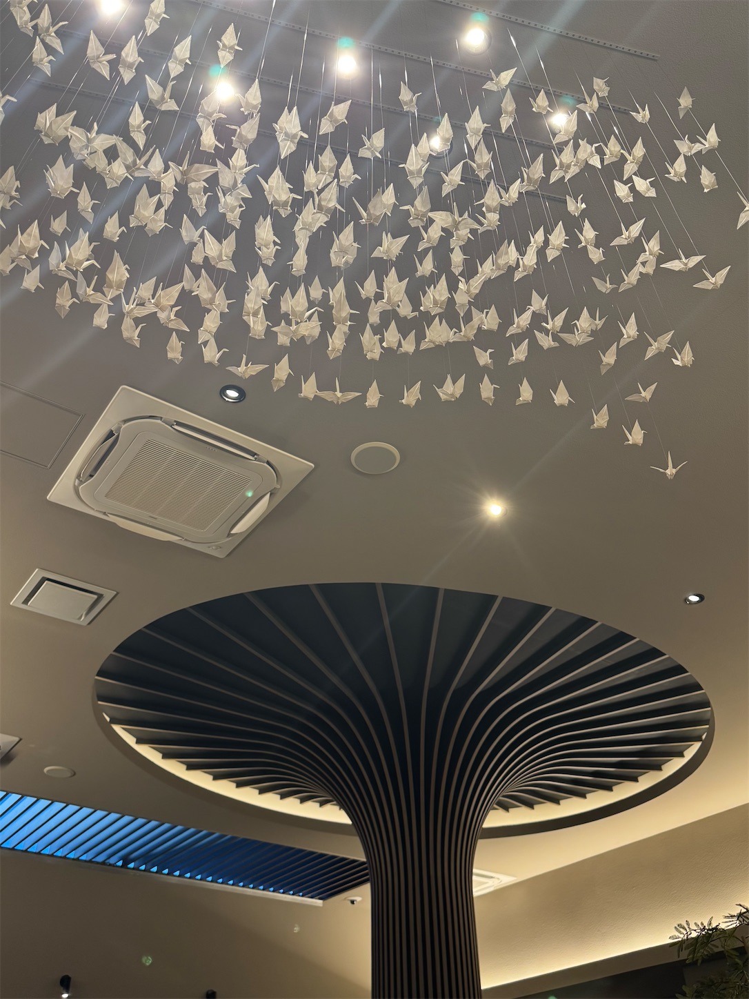 f:id:locomoco123:20241127201329j:image