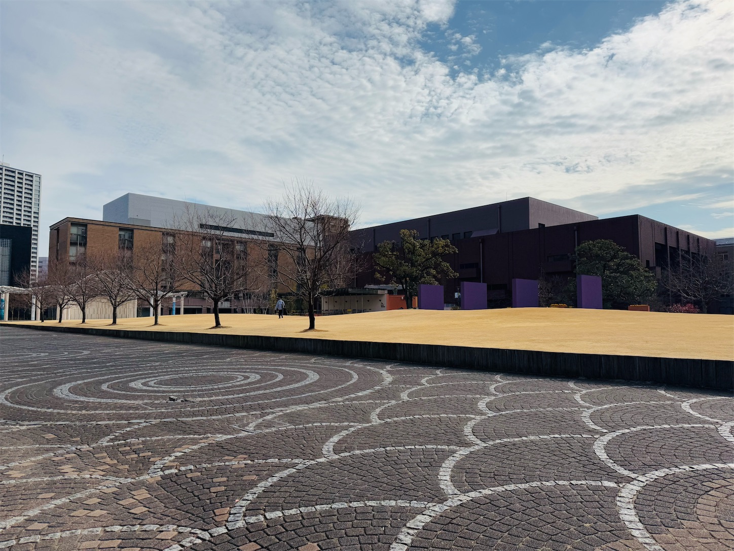 f:id:locomoco123:20250106205015j:image f:id:locomoco123:20250106205015j:image