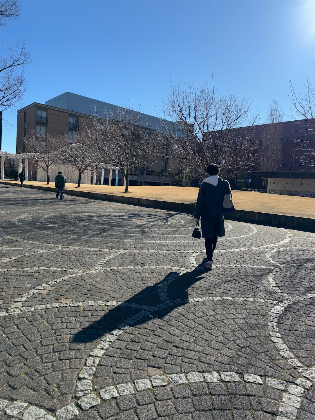 f:id:locomoco123:20250108231152j:image