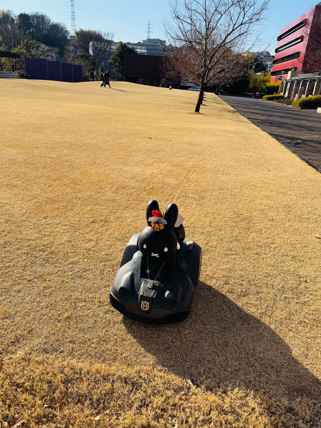 f:id:locomoco123:20250122220530j:image