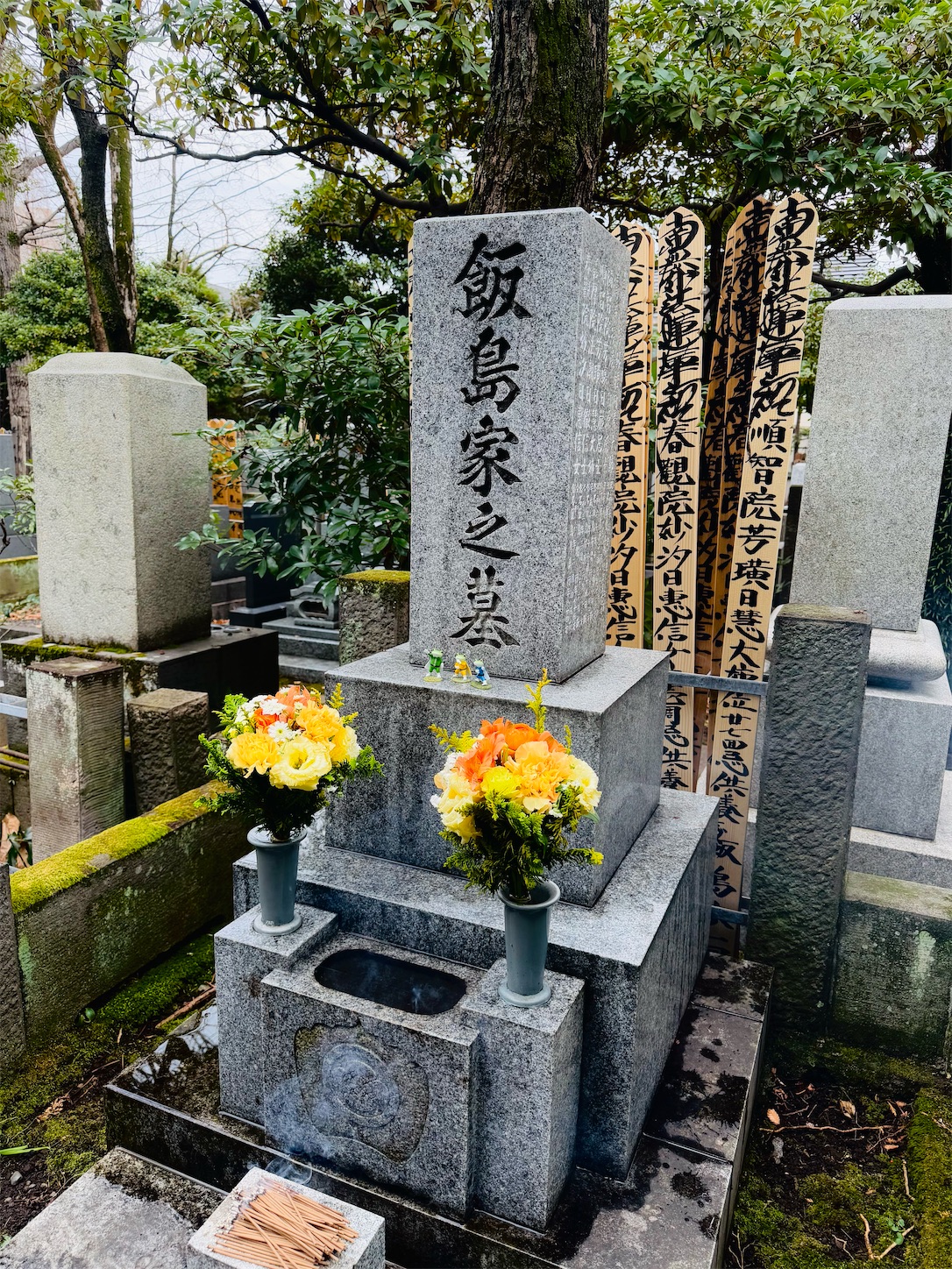 f:id:locomoco123:20250125213459j:image f:id:locomoco123:20250125213459j:image