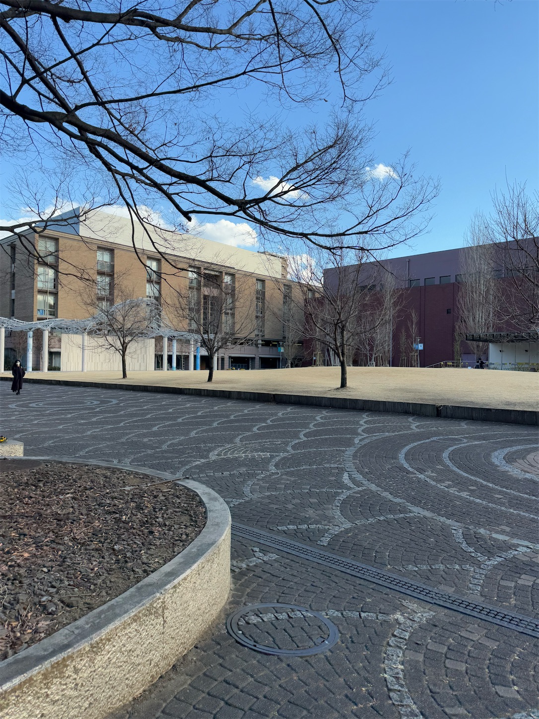 f:id:locomoco123:20250130201347j:image