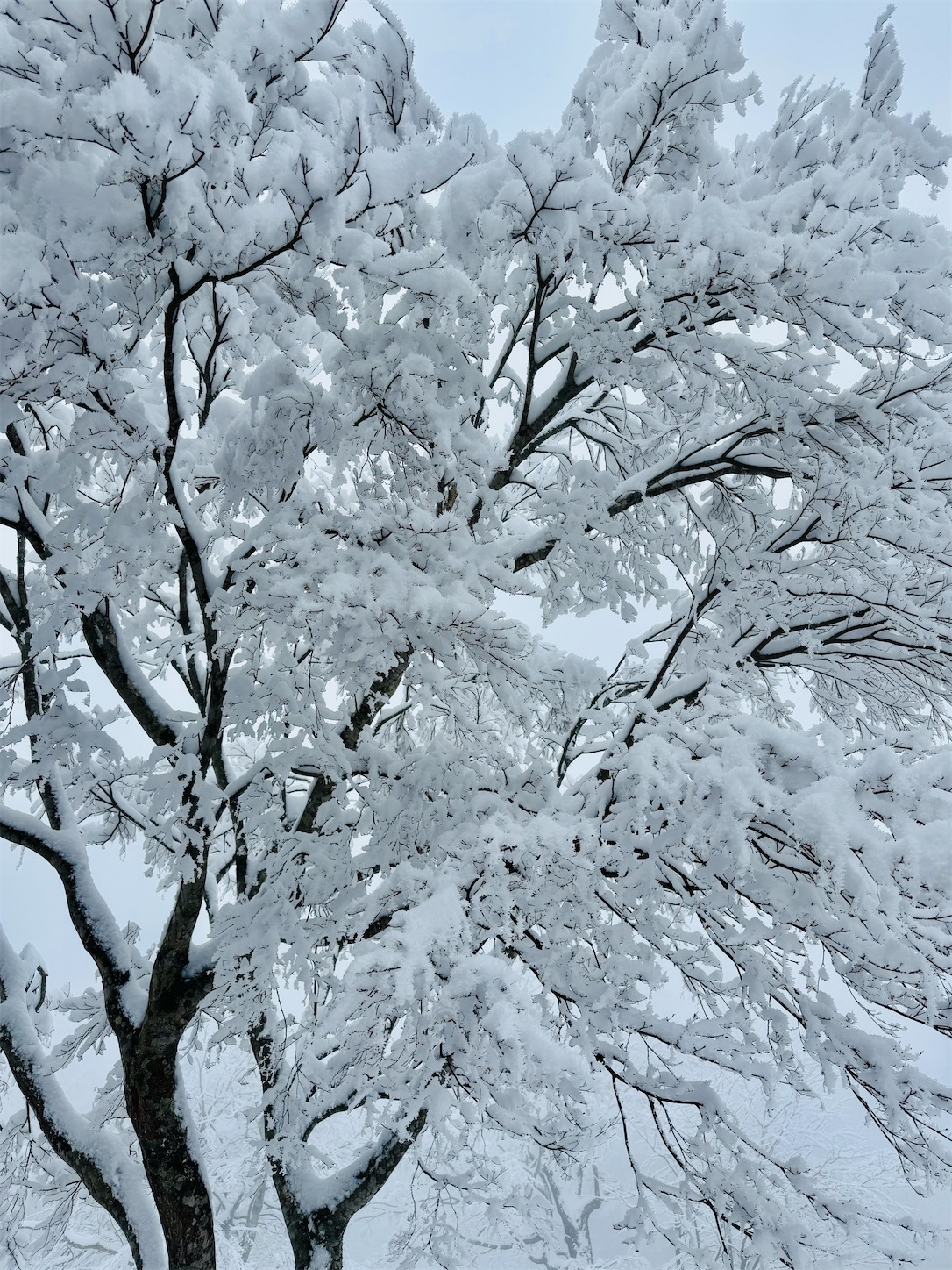 f:id:locomoco123:20250304184733j:image