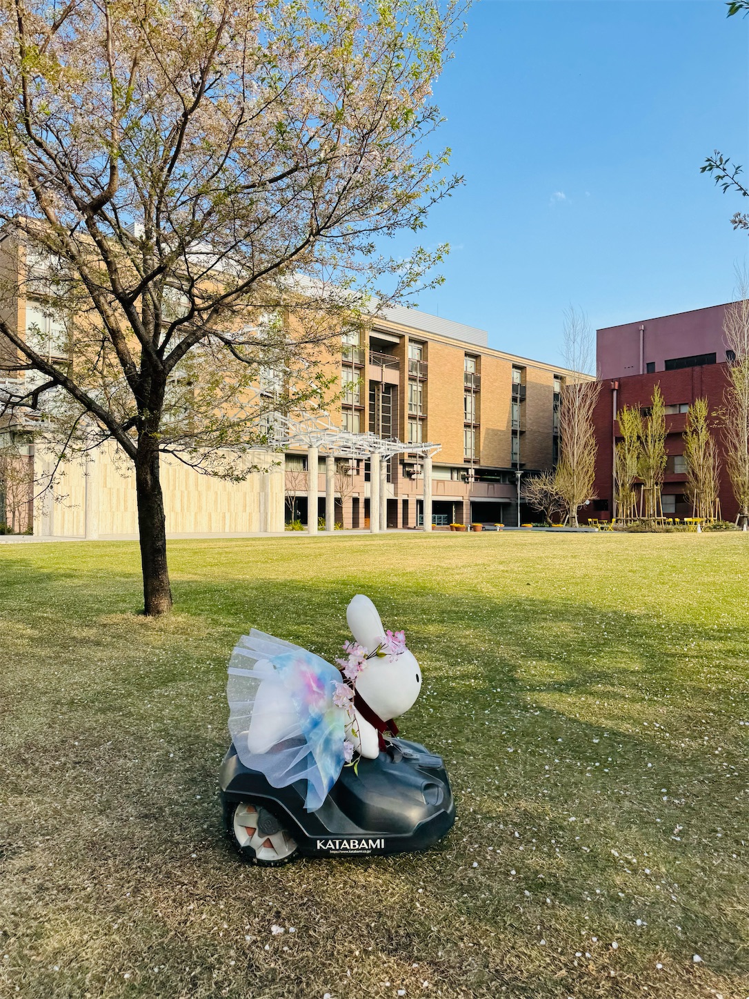 f:id:locomoco123:20250409211605j:image