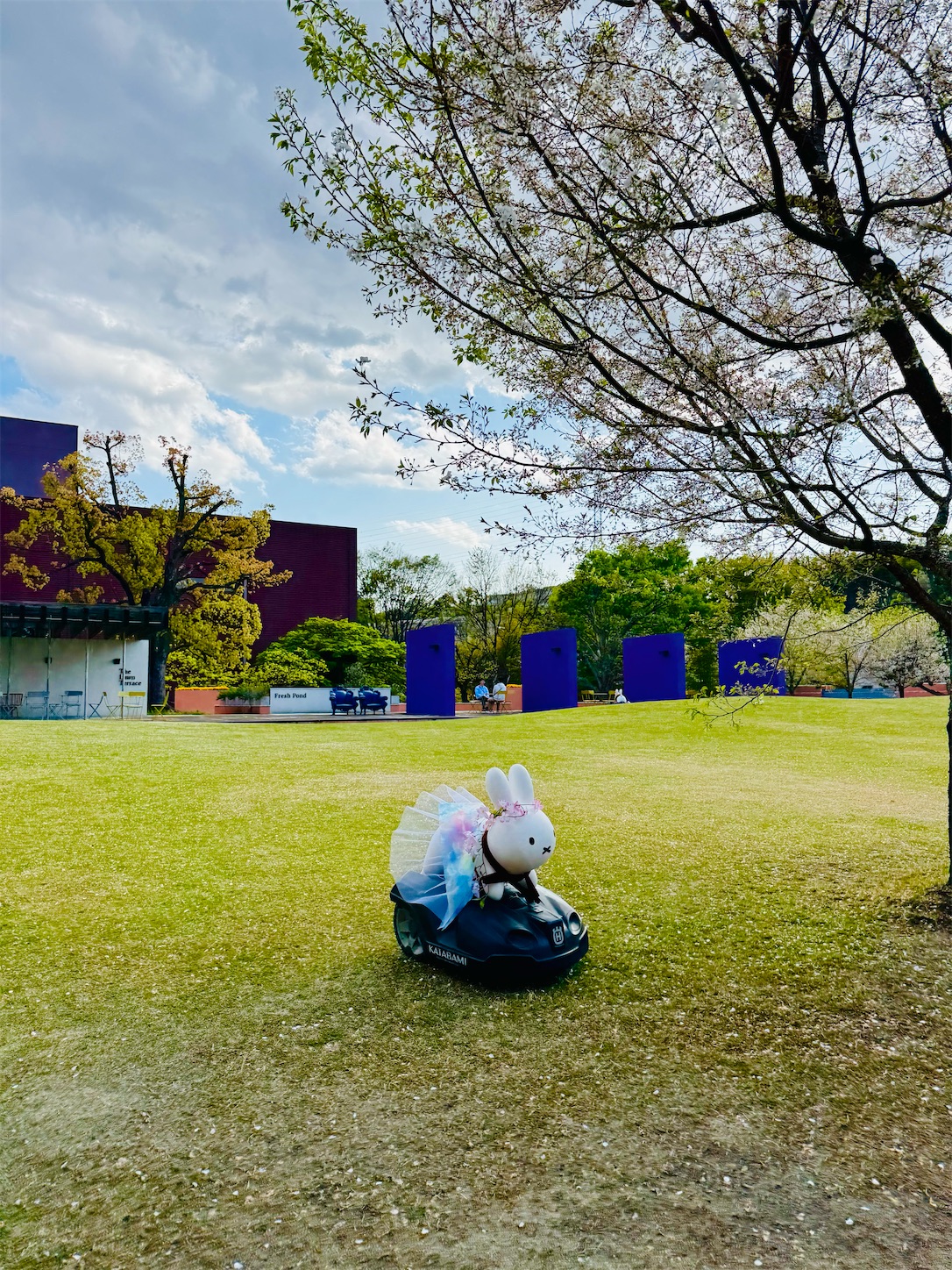 f:id:locomoco123:20250409214233j:image