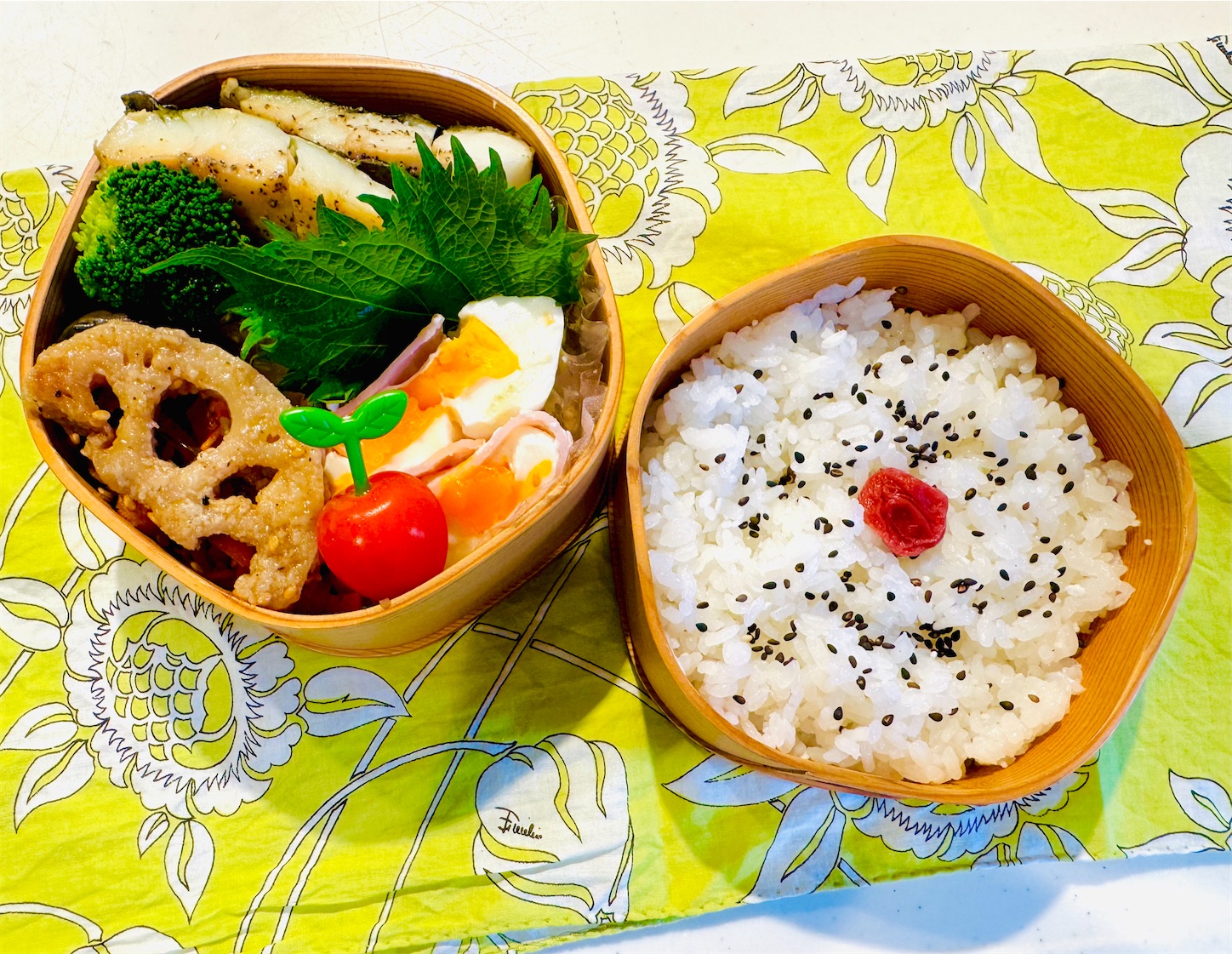 f:id:locomoco123:20250604061259j:image