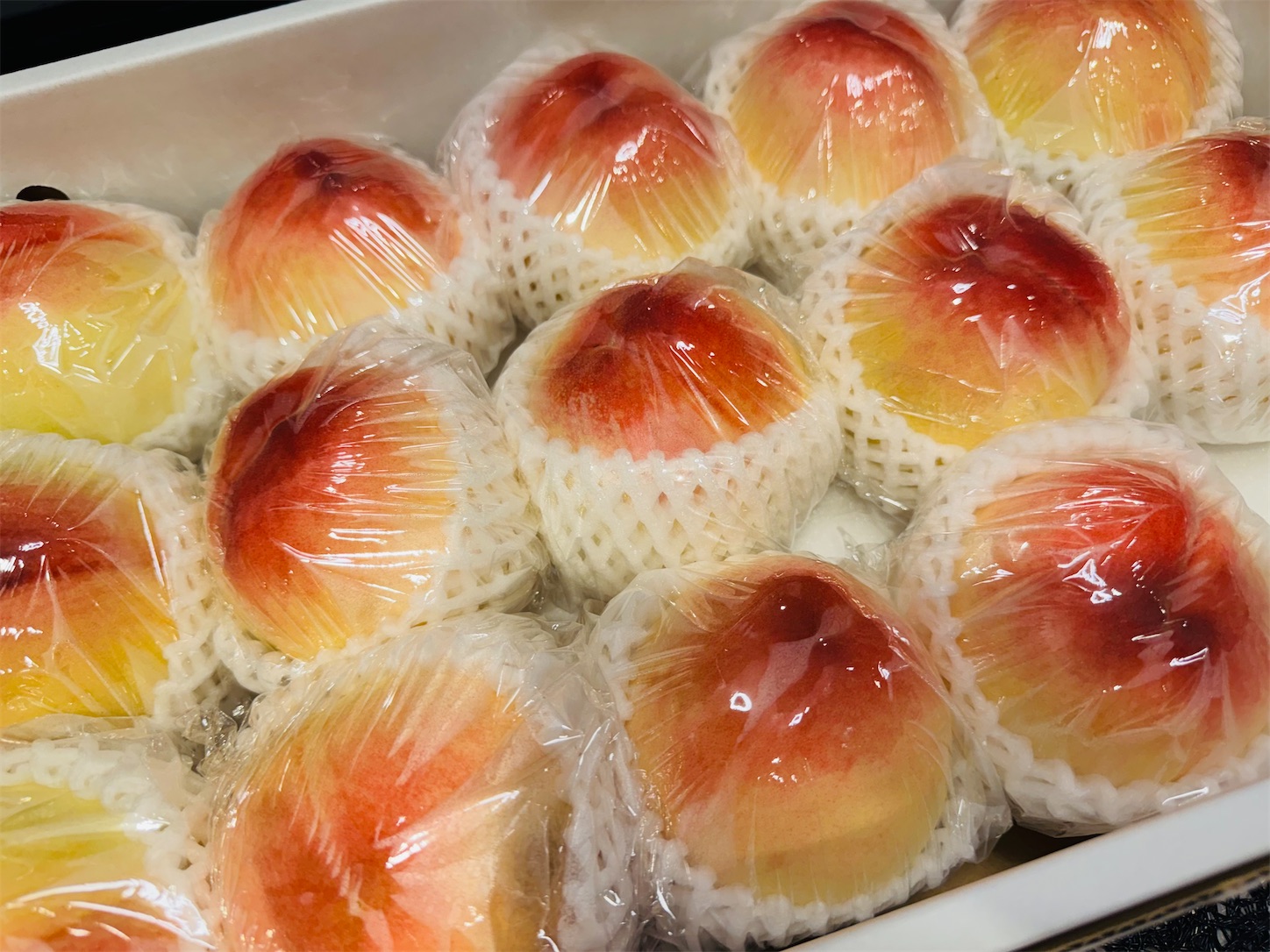 f:id:locomoco123:20250709232214j:image