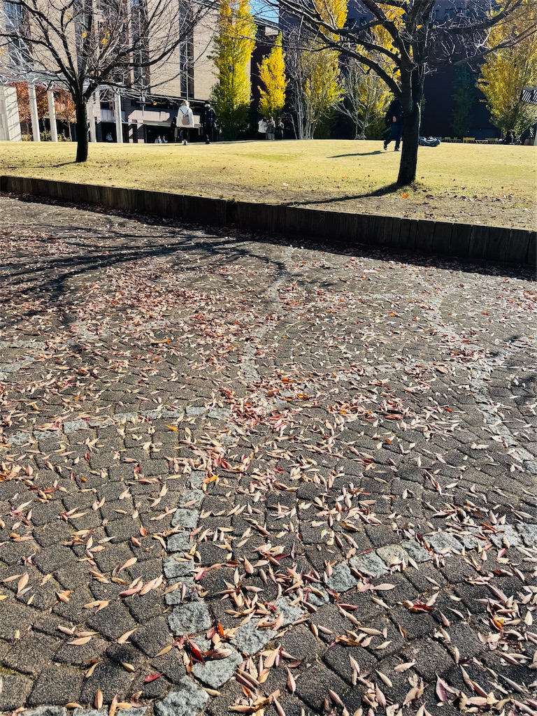 f:id:locomoco123:20251126232525j:image