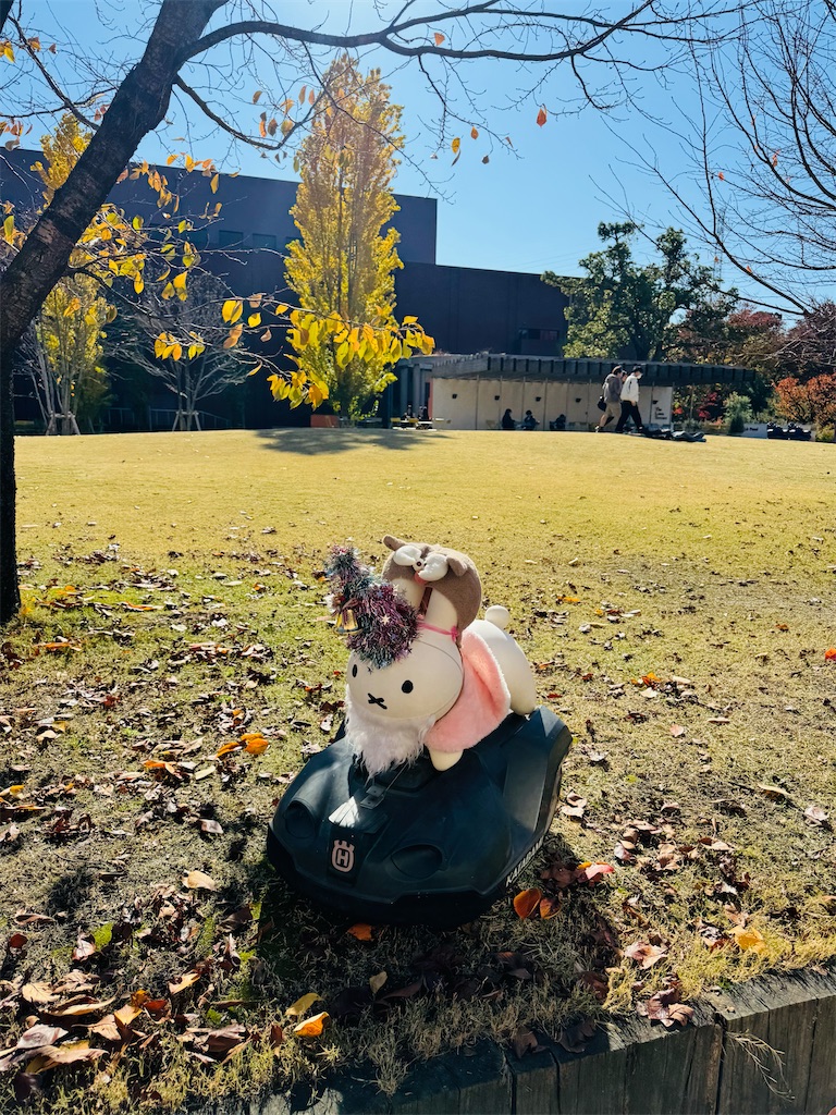 f:id:locomoco123:20251126232530j:image