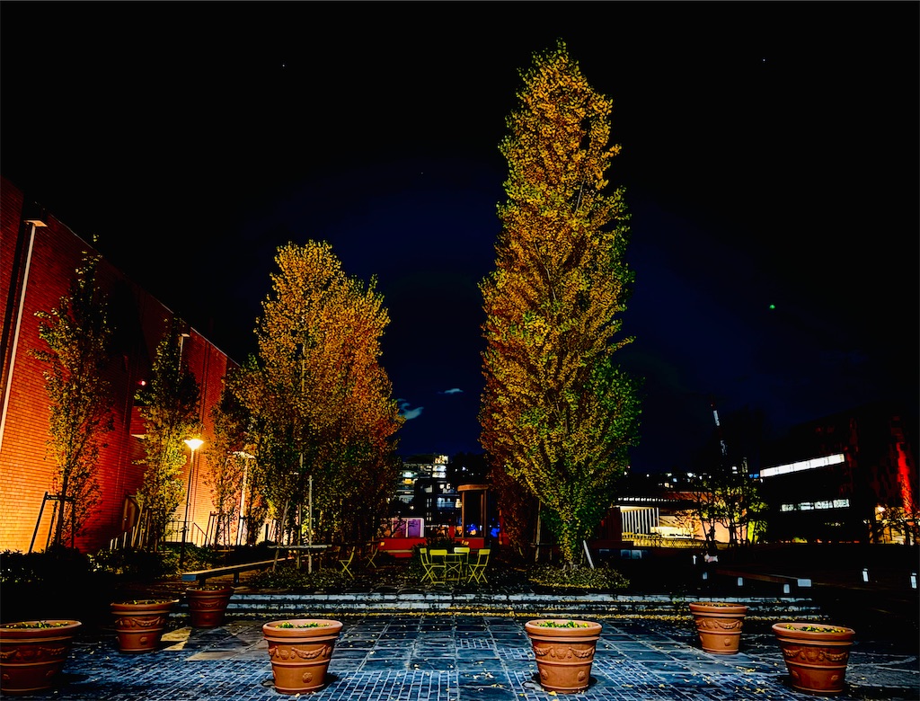 f:id:locomoco123:20251129201457j:image f:id:locomoco123:20251129201457j:image