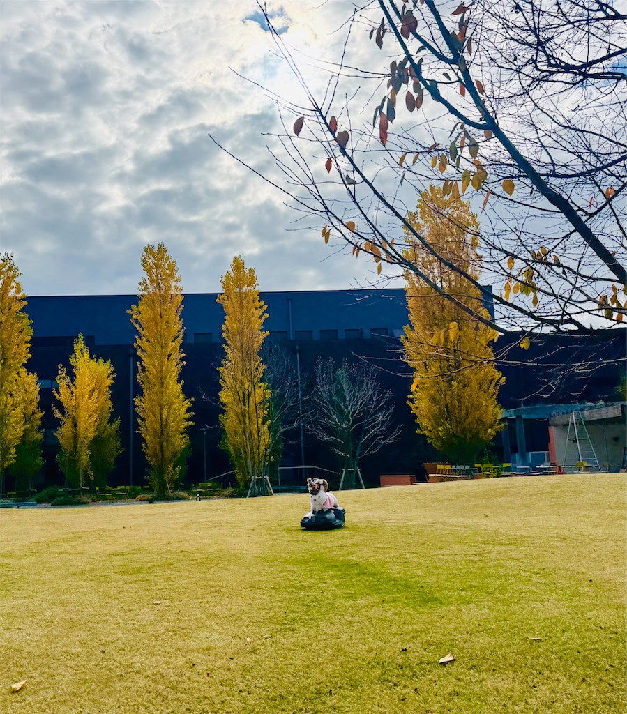 f:id:locomoco123:20251129201506j:image f:id:locomoco123:20251129201506j:image