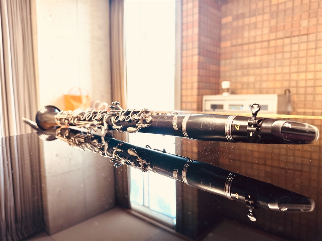 f:id:locomoco123:20251222193815j:image