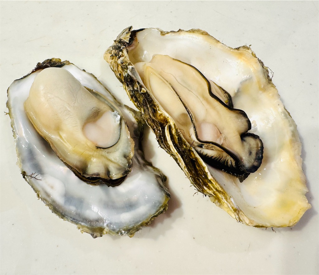 f:id:locomoco123:20251225150229j:image