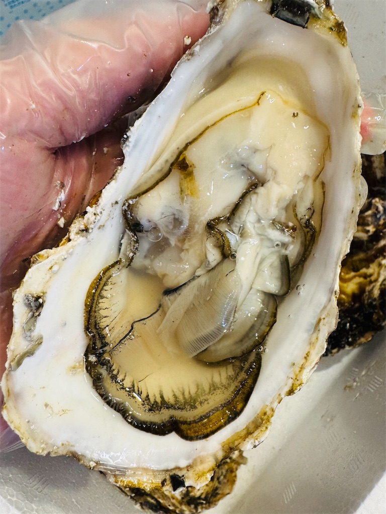 f:id:locomoco123:20251225150233j:image