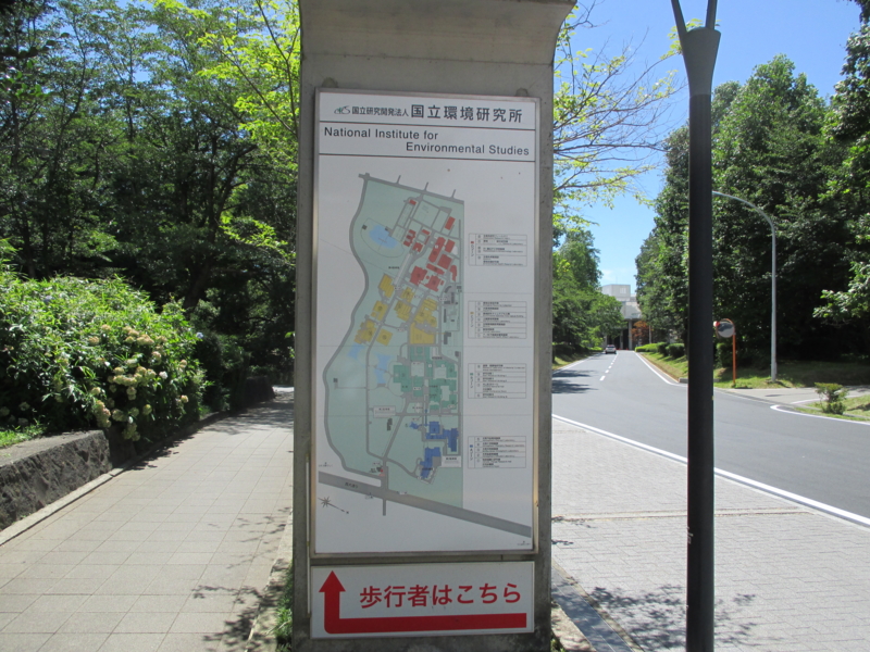 f:id:locust0138:20150715133427j:image:w290