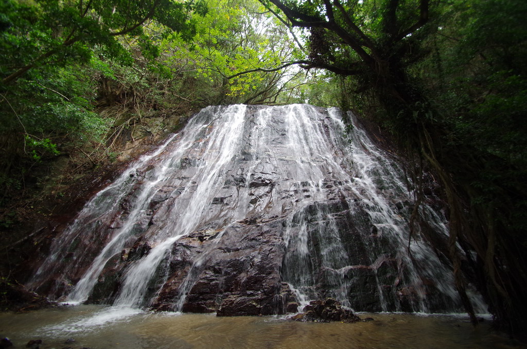 f:id:lodgemotive:20201231000356j:plain