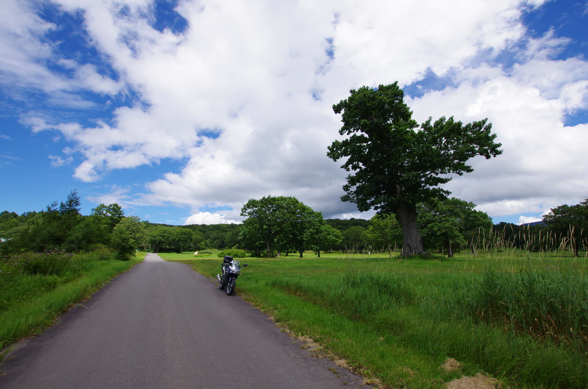 f:id:lodgemotive:20211227131710j:plain