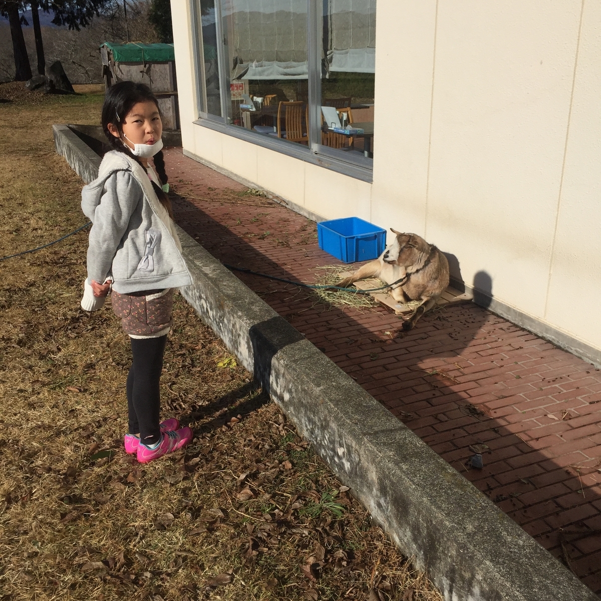 f:id:log_o:20201228102209j:plain