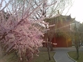 20130414172219