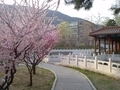 20130414172307
