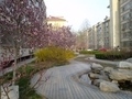 20130414172438