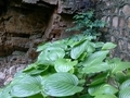 20130617112829