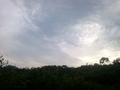 20130617184137