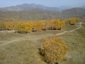 20131004131245