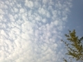 20131011161737