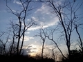 20140319172517