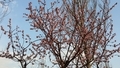 20140319173636