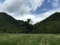 20150813142632
