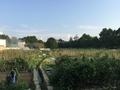 20150814181849