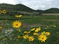20150815104508