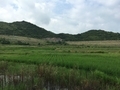 20150815104651