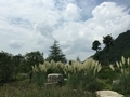 20150815134932