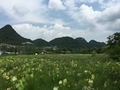 20150815142429