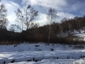 20151115092648