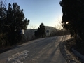 20160131163938