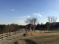 20160228163634