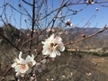 20160326142923