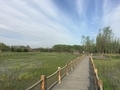20160407163614