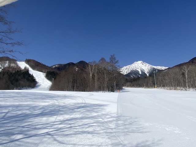 f:id:logfile:20220322205147j:plain