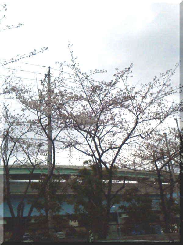 f:id:logical-co-jp:20120404093738j:image