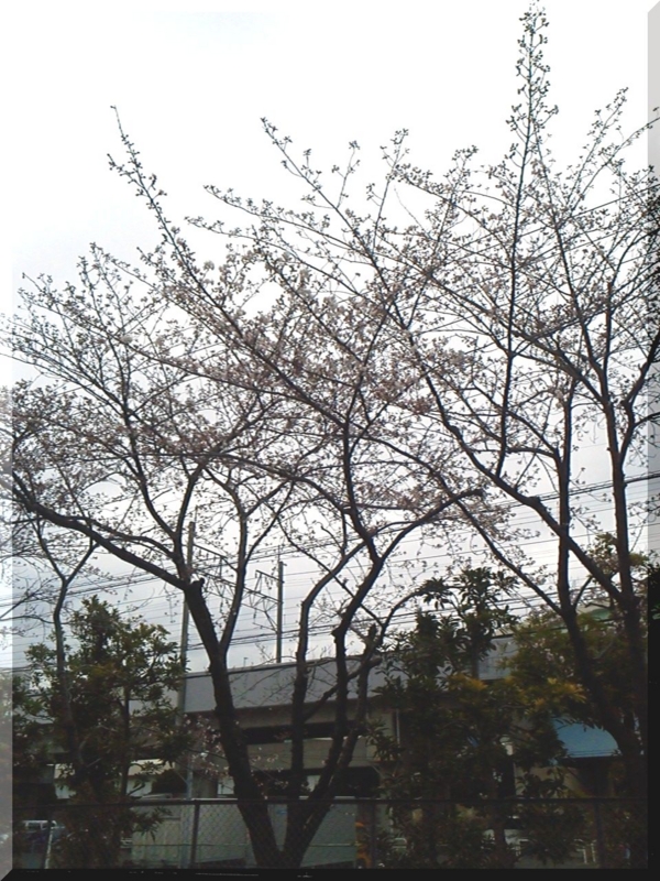 f:id:logical-co-jp:20120404093754j:image