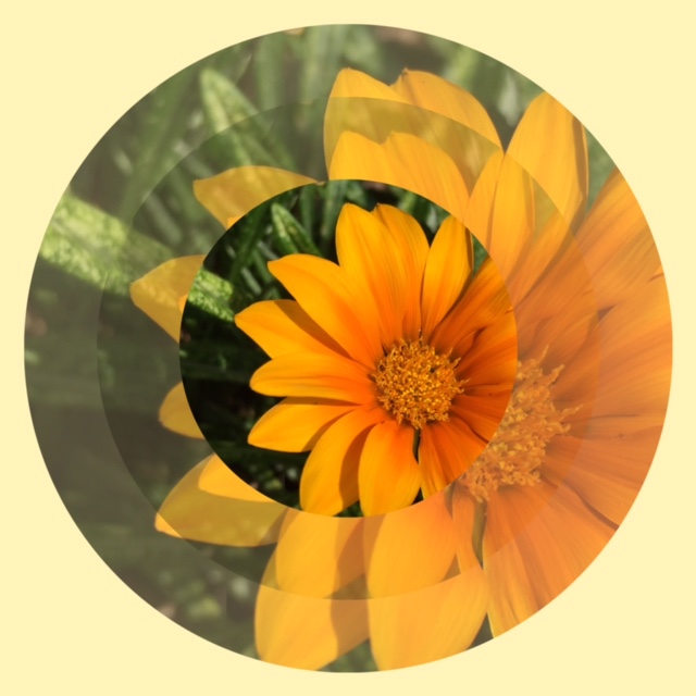 f:id:logical-co-jp:20160719101828j:image f:id:logical-co-jp:20160719101828j:image