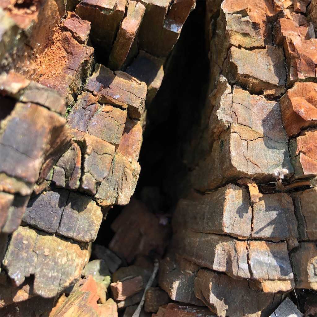 f:id:logicalnotes:20200517141004j:image f:id:logicalnotes:20200517141004j:image