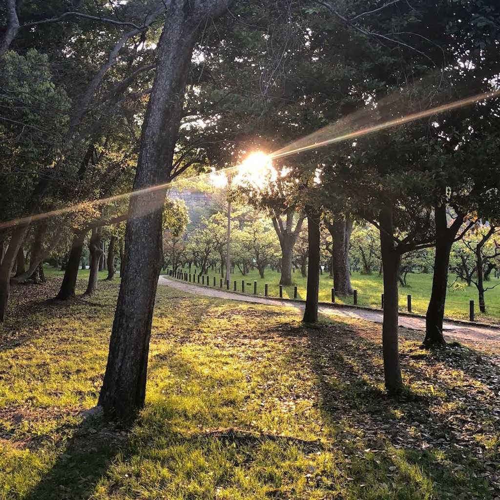 f:id:logicalnotes:20200518143109j:image f:id:logicalnotes:20200518143109j:image